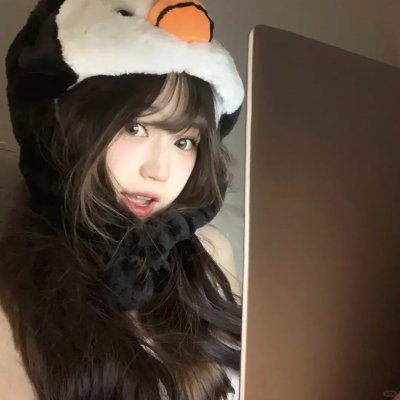 盗贼生涯